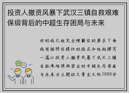 投资人撤资风暴下武汉三镇自救艰难保级背后的中超生存困局与未来